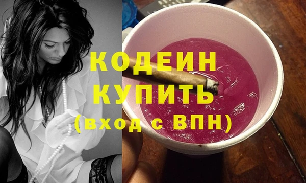 индика Нефтегорск