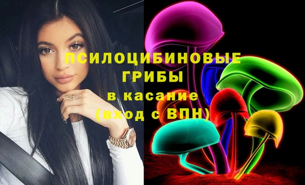 мдпв Новодвинск