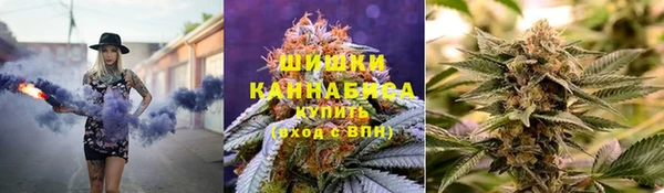 индика Нефтегорск