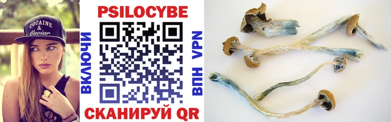 блэк спрут   Райчихинск  Псилоцибиновые грибы Magic Shrooms 